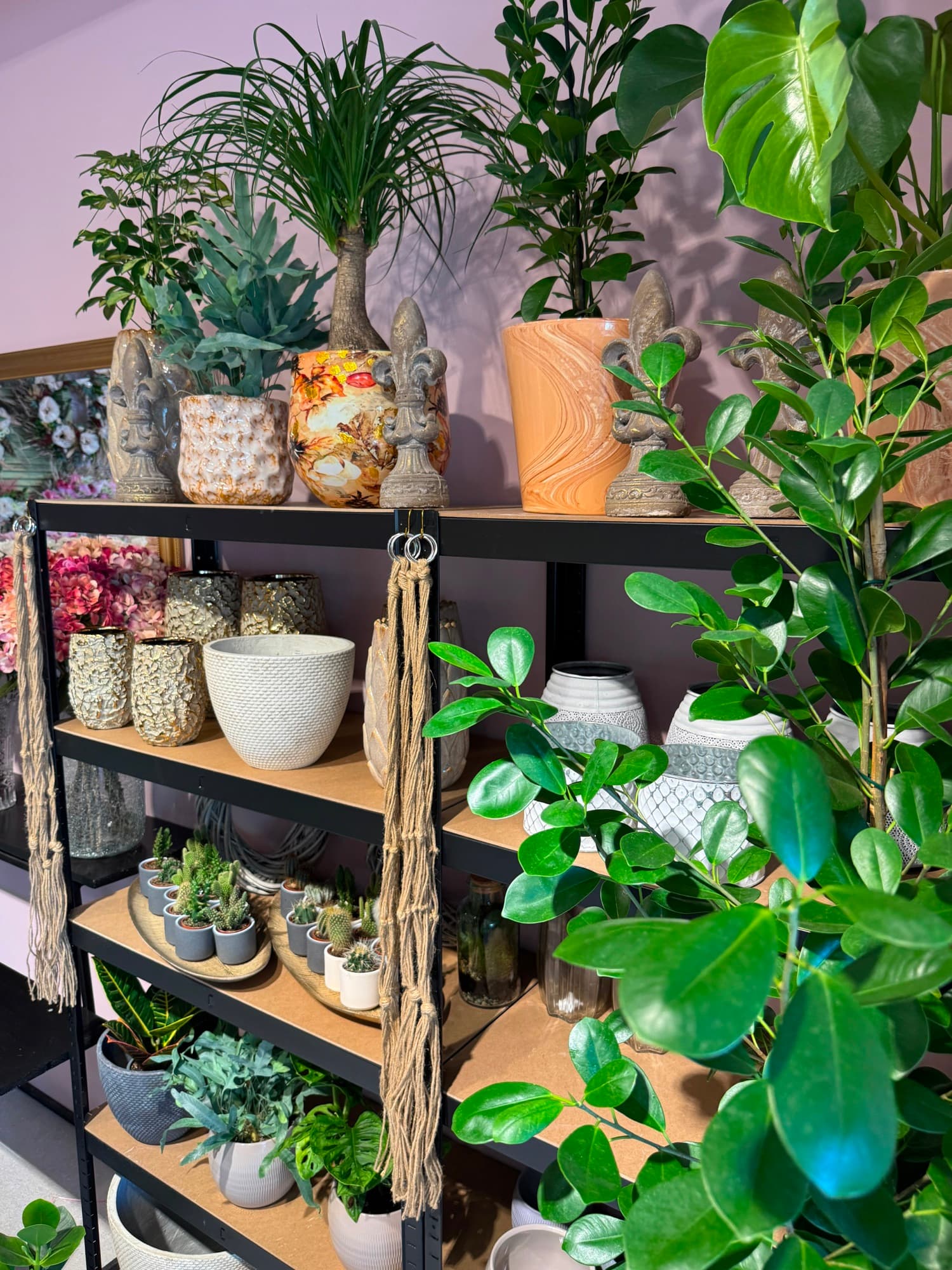 A black industrial shelf with ceramics and houseplants